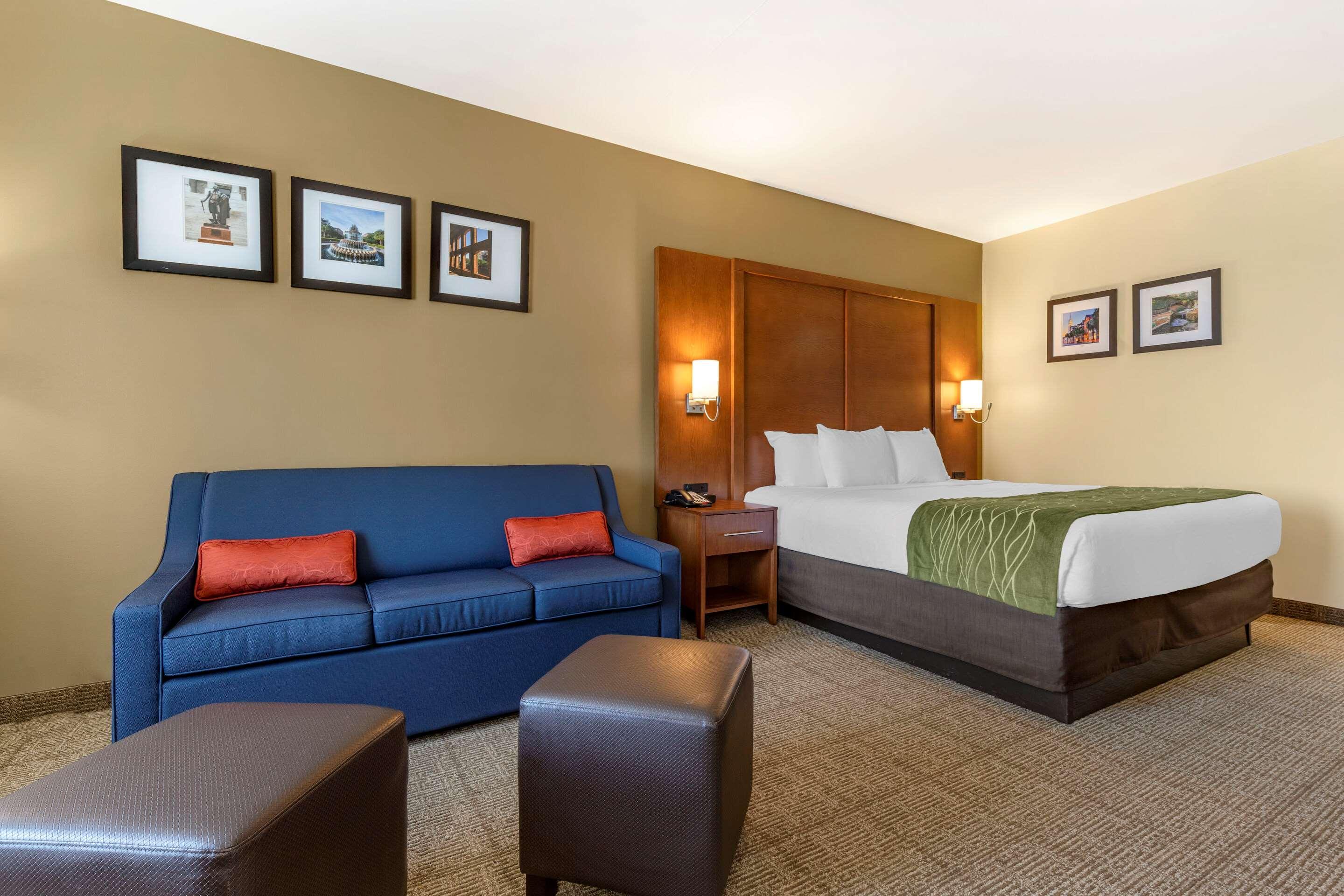 Comfort Inn & Suites Orangeburg Zewnętrze zdjęcie